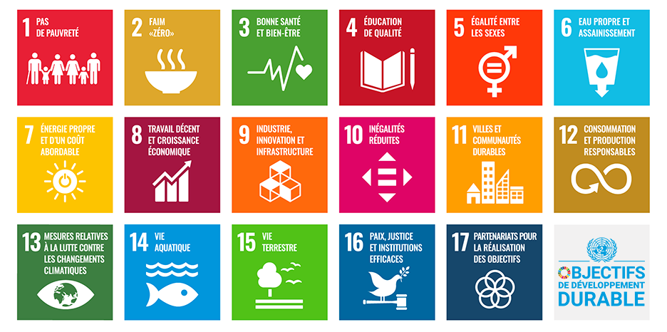 kcfinder/upload/images/sdgs_poster_936_rev_fr.png